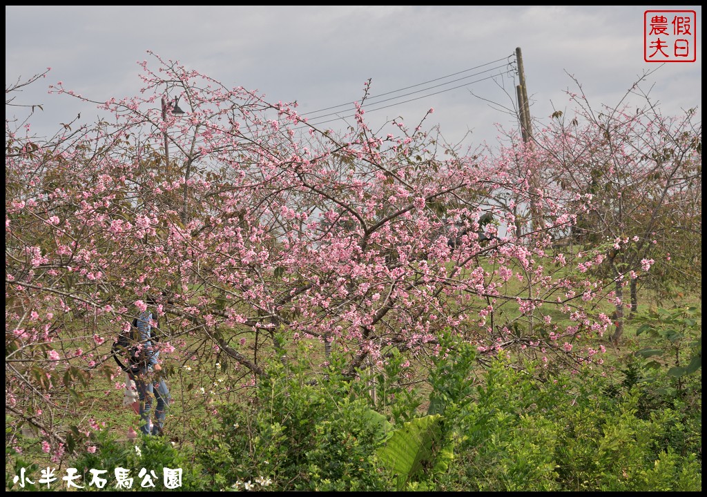 南投旅遊美食|竹山鹿谷一日輕旅行．紫南宮+石馬公園+阿東窯烤雞鹿谷初鄉旗艦店+麒麟潭 @假日農夫愛趴趴照