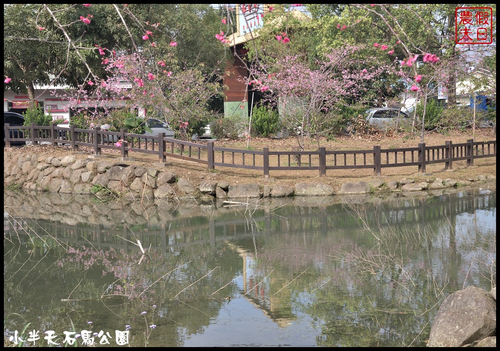 南投景點|鹿谷小半天石馬公園河津櫻花開了/2018鹿谷櫻花冬筍季/免費賞櫻 @假日農夫愛趴趴照