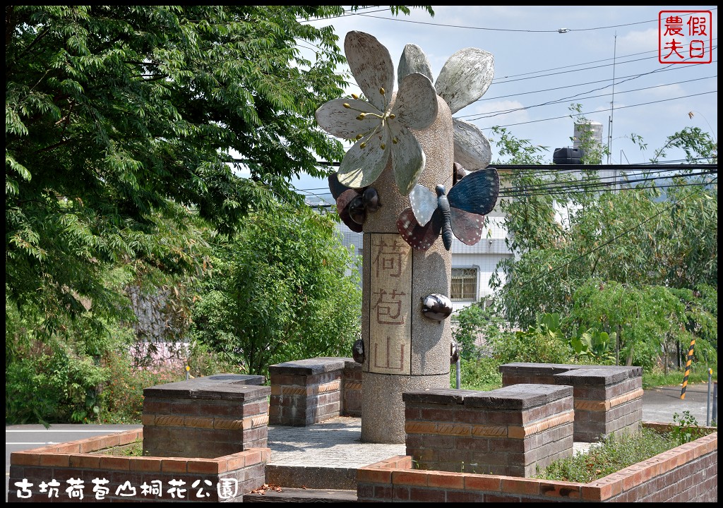 雲林景點|古坑荷苞山桐花公園．雲林客家桐花祭-「浪漫桐雨遊客庄」/一日遊/賞花情報 @假日農夫愛趴趴照