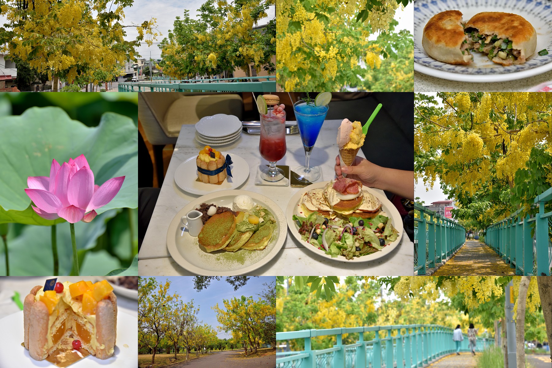 南投旅遊美食|南投一日輕旅行．中興新村荷花池×阿勃勒×梅園餡餅粥×MINI SNOW 香草屋/一日遊 @假日農夫愛趴趴照