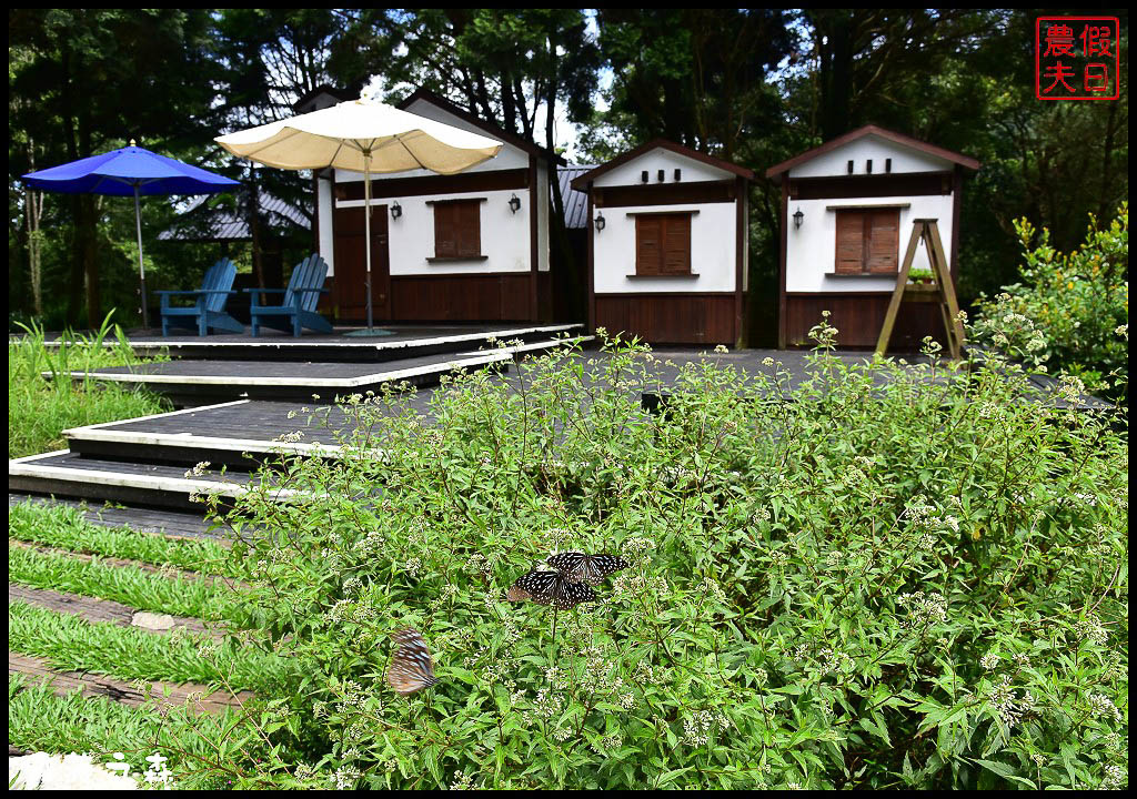 新竹尖石 | 啵菠之森PotagerDeCote．綠野森活好時光/自家菜園小農食材吃得健康 @假日農夫愛趴趴照