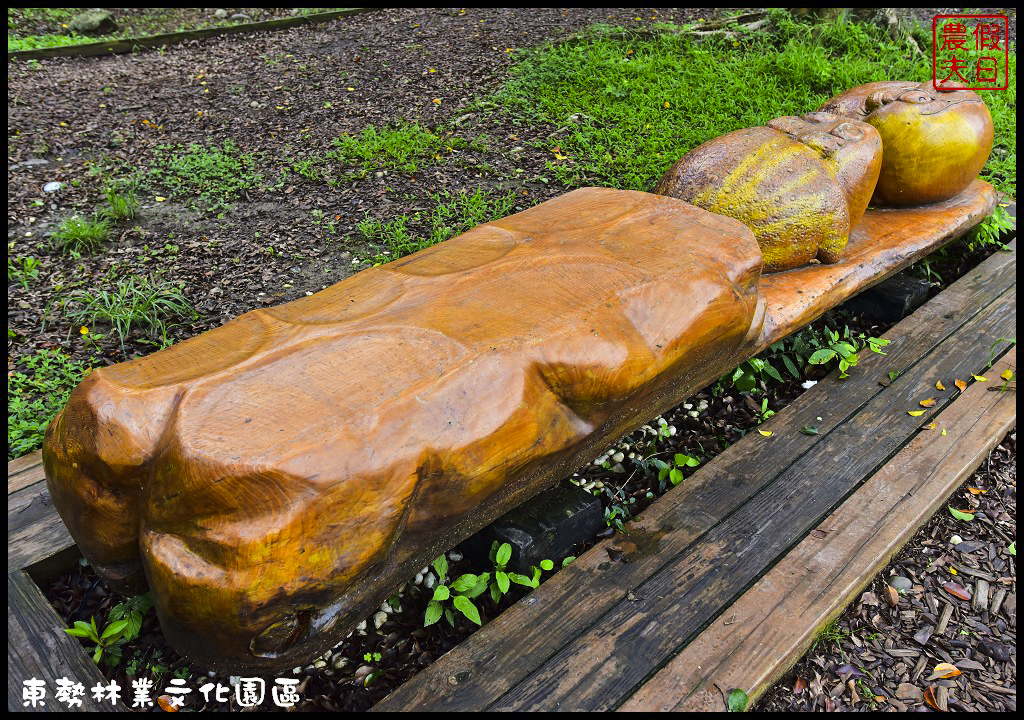 台中景點 | 東勢國際木雕藝術暨林業文化園區．超大的生態荷花池免費參觀/賞花秘境/鳳凰花/一日遊 @假日農夫愛趴趴照