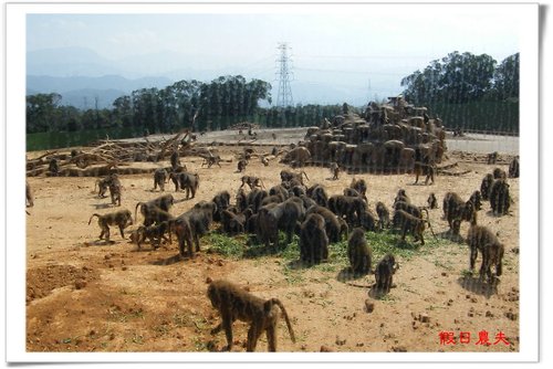 全台主題遊樂園區寒假春節門票優惠資訊懶人包/開園時間/交通指南/一日遊/連假何處去 @假日農夫愛趴趴照