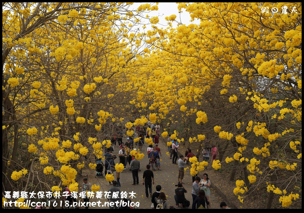 嘉義旅遊美食景點懶人包．規劃七條路線讓你順遊免繞路/觀光工廠/休閒農場 @假日農夫愛趴趴照