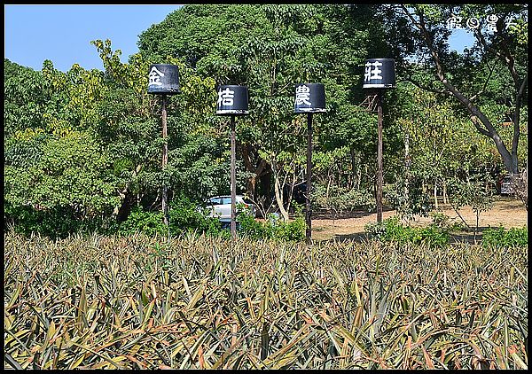 嘉義旅遊美食景點懶人包．規劃七條路線讓你順遊免繞路/觀光工廠/休閒農場 @假日農夫愛趴趴照