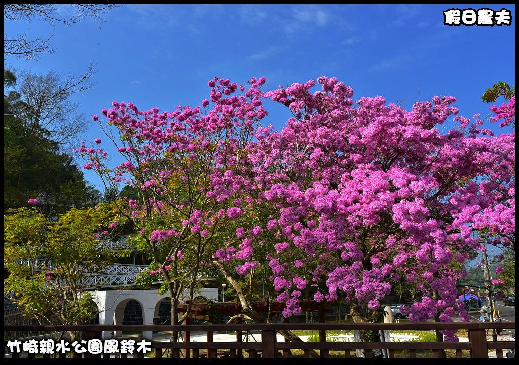 嘉義旅遊美食景點懶人包．規劃七條路線讓你順遊免繞路/觀光工廠/休閒農場 @假日農夫愛趴趴照