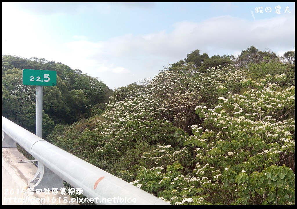 【客家桐花祭】一桐去郊遊．2018中部賞桐地點及活動整理分享/賞桐步道 @假日農夫愛趴趴照