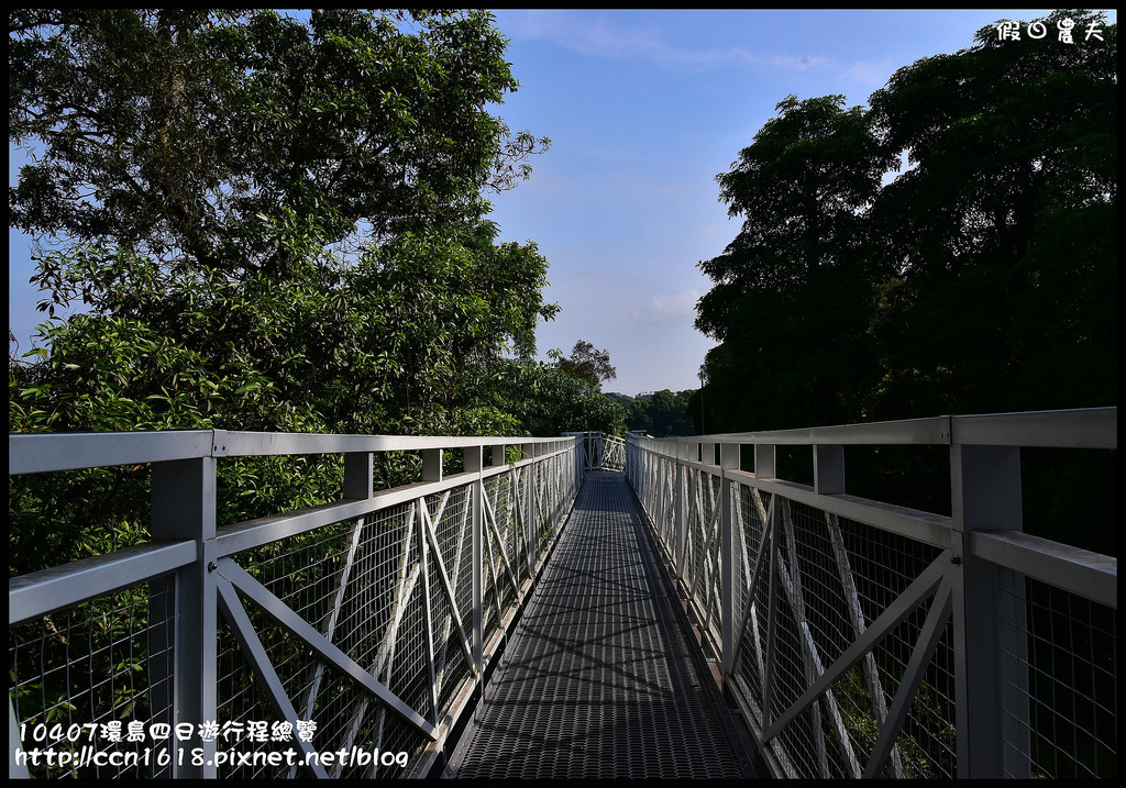 嘉義景點|竹崎親水公園風鈴木．如繡球花般的粉紅雲盛開時比櫻花更迷人/免門票 @假日農夫愛趴趴照