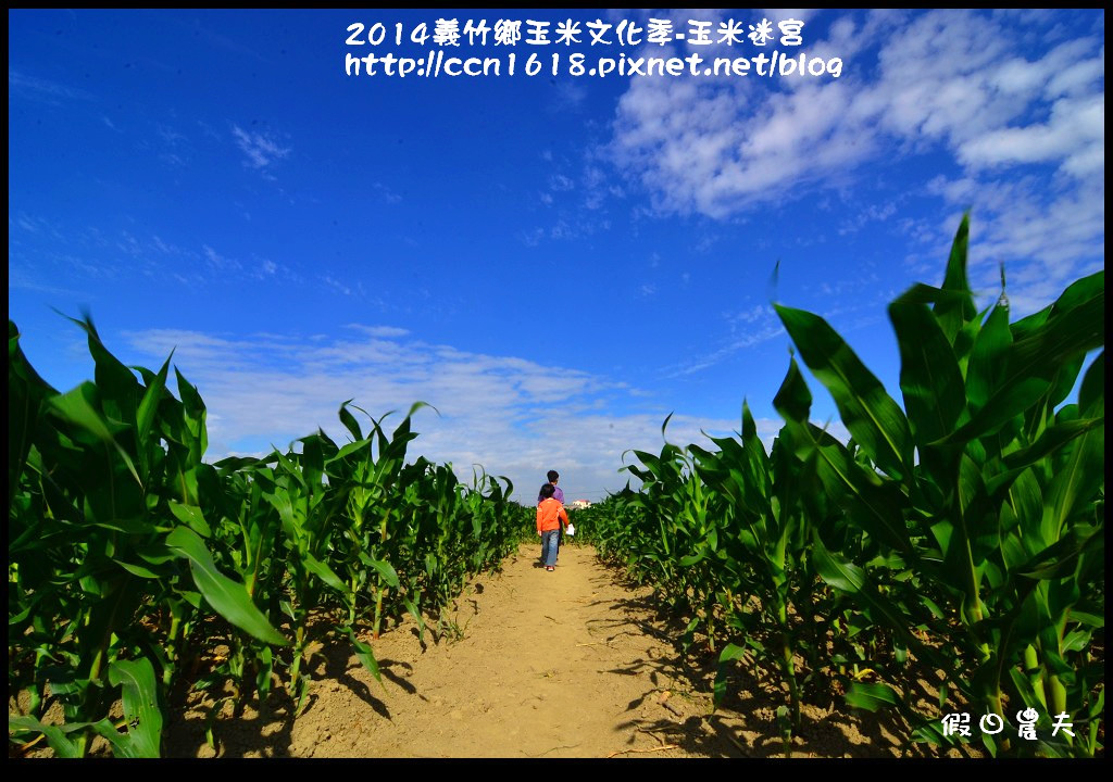 【嘉義一日輕旅行】白人牙膏觀光工廠+故宮南院+高跟鞋教堂+玉米迷宮+品皇咖啡觀光工廠+嘉義燈會，一整天免門票行程/親子好好玩/還有免費的咖啡、可樂、冰棒可以吃喝/一日遊 @假日農夫愛趴趴照