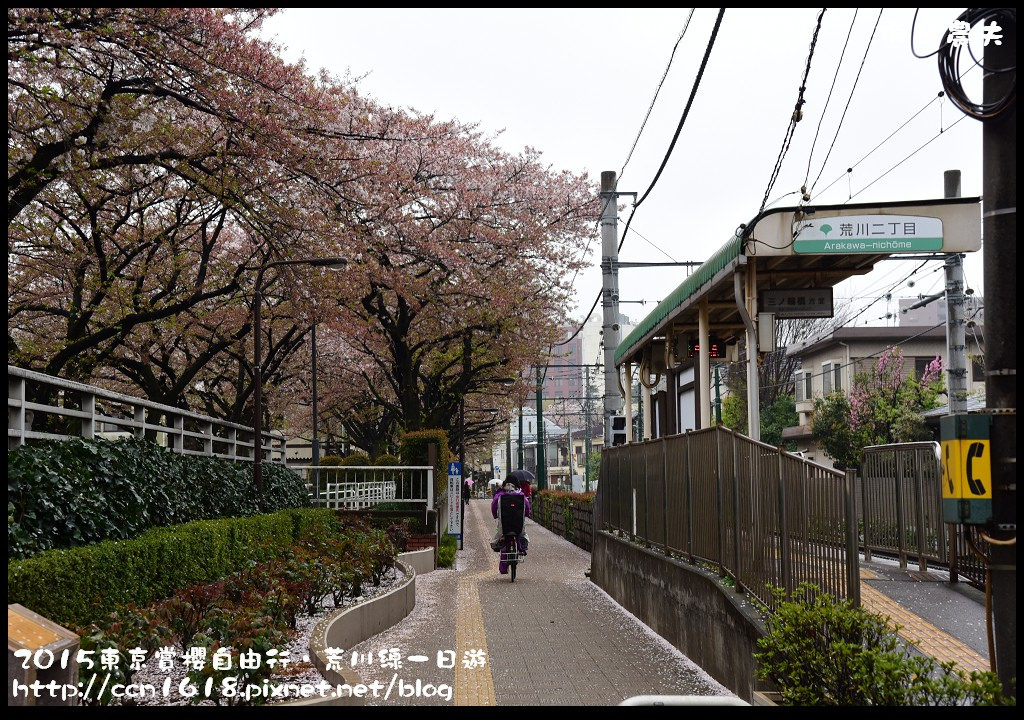 【日本旅遊】東京賞櫻自由行‧荒川線一日遊/都電荒川線一日券/季節對還能賞櫻 @假日農夫愛趴趴照