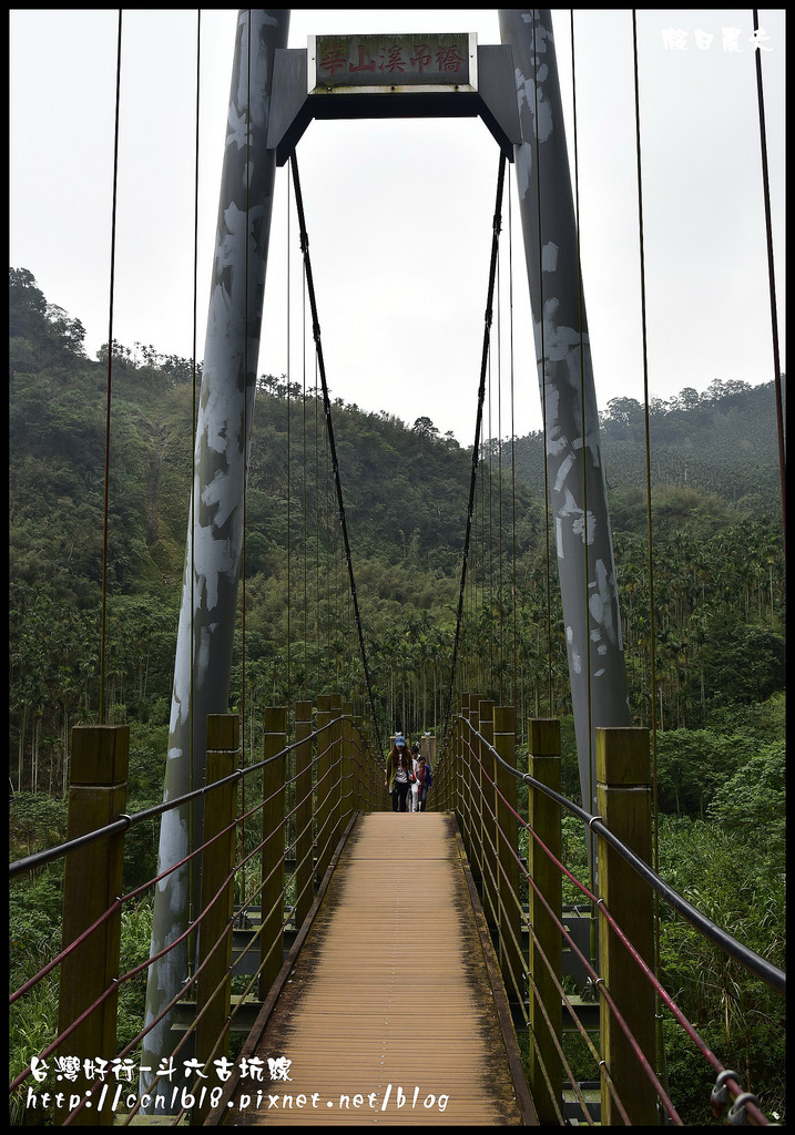 【雲林旅遊】搭台灣好行-斗六古坑線來參加台灣咖啡節/綠色隧道/蜜蜂故事館/華山/福祿壽酒廠/劍湖山世界/蘿莎玫瑰莊園/咖啡烘焙/DIY @假日農夫愛趴趴照