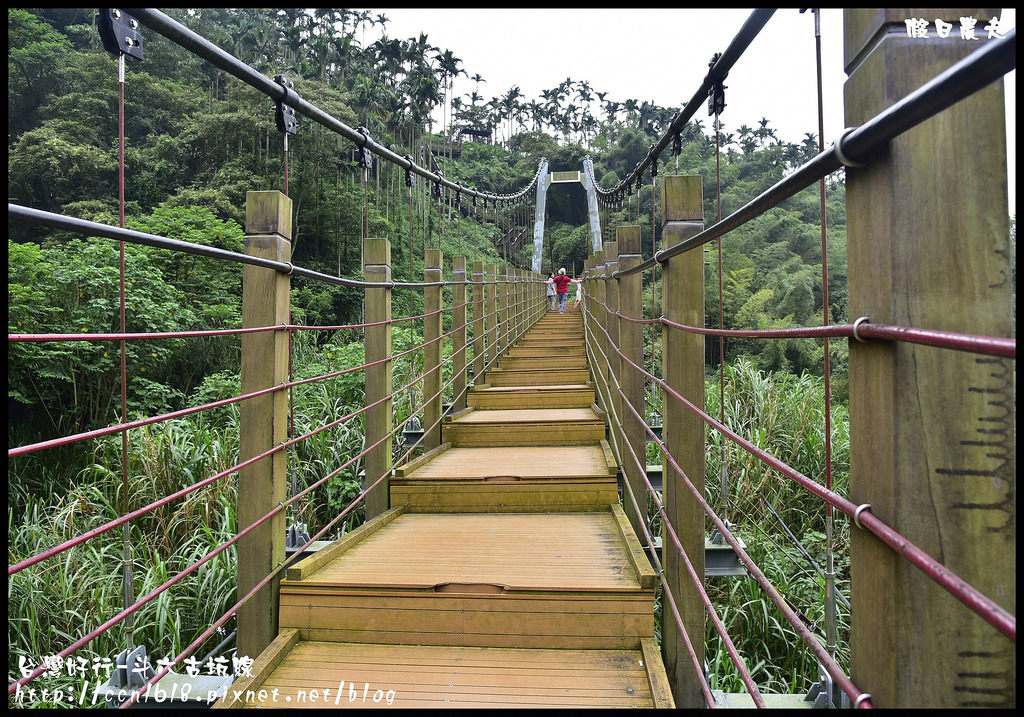 【雲林旅遊】搭台灣好行-斗六古坑線來參加台灣咖啡節/綠色隧道/蜜蜂故事館/華山/福祿壽酒廠/劍湖山世界/蘿莎玫瑰莊園/咖啡烘焙/DIY @假日農夫愛趴趴照