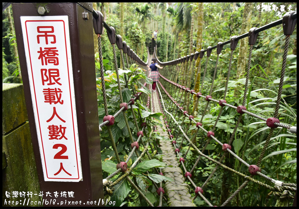 【雲林旅遊】搭台灣好行-斗六古坑線來參加台灣咖啡節/綠色隧道/蜜蜂故事館/華山/福祿壽酒廠/劍湖山世界/蘿莎玫瑰莊園/咖啡烘焙/DIY @假日農夫愛趴趴照