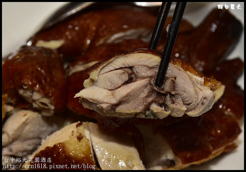 台中美食|裕元花園酒店喆園鮑魚中餐廳．品嘗道地精緻好吃港式點心的首選 @假日農夫愛趴趴照