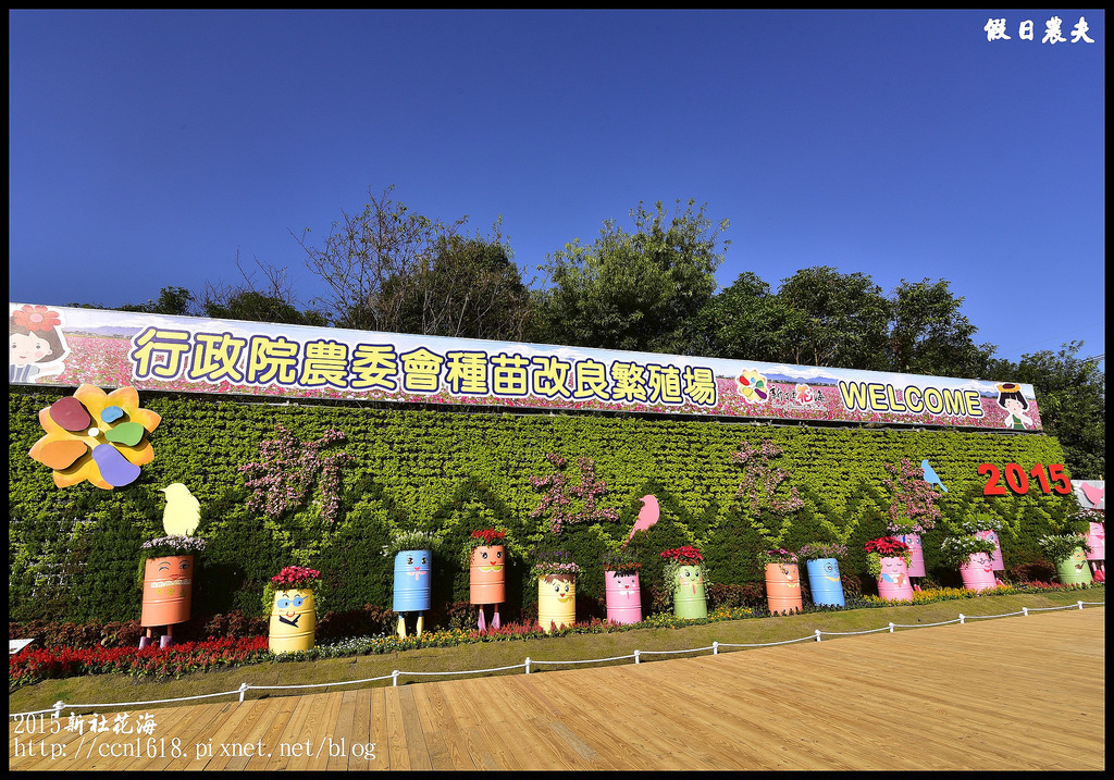 【台中旅遊】新社花海暨臺中國際花毯節於11/9正式登場/交通資訊懶人包/展館/免費/賞花/一日遊 @假日農夫愛趴趴照