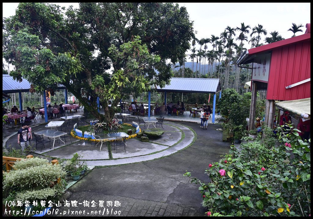 【雲林旅遊】雲林黃金山海線-掏金農遊趣．古坑華山桂竹林餐廳+重點咖啡+茗鎮咖啡民宿/二日遊/ @假日農夫愛趴趴照