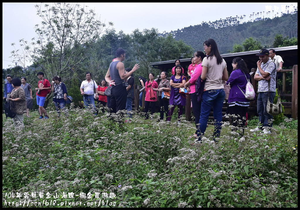 【雲林旅遊】雲林黃金山海線-掏金農遊趣．古坑華山桂竹林餐廳+重點咖啡+茗鎮咖啡民宿/二日遊/ @假日農夫愛趴趴照