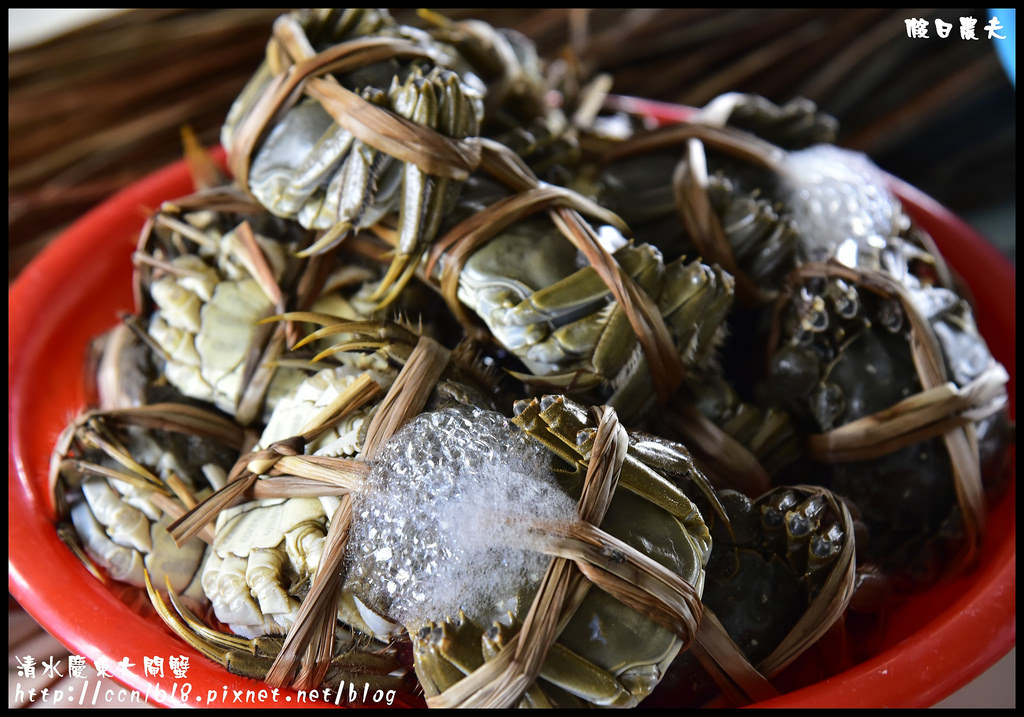 【台中美食】清水慶東大閘蟹農場．品嚐秋蟹的肥美好滋味/台灣養殖/檢驗合格/現場料理 @假日農夫愛趴趴照