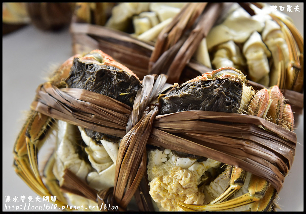 【台中美食】清水慶東大閘蟹農場．品嚐秋蟹的肥美好滋味/台灣養殖/檢驗合格/現場料理 @假日農夫愛趴趴照