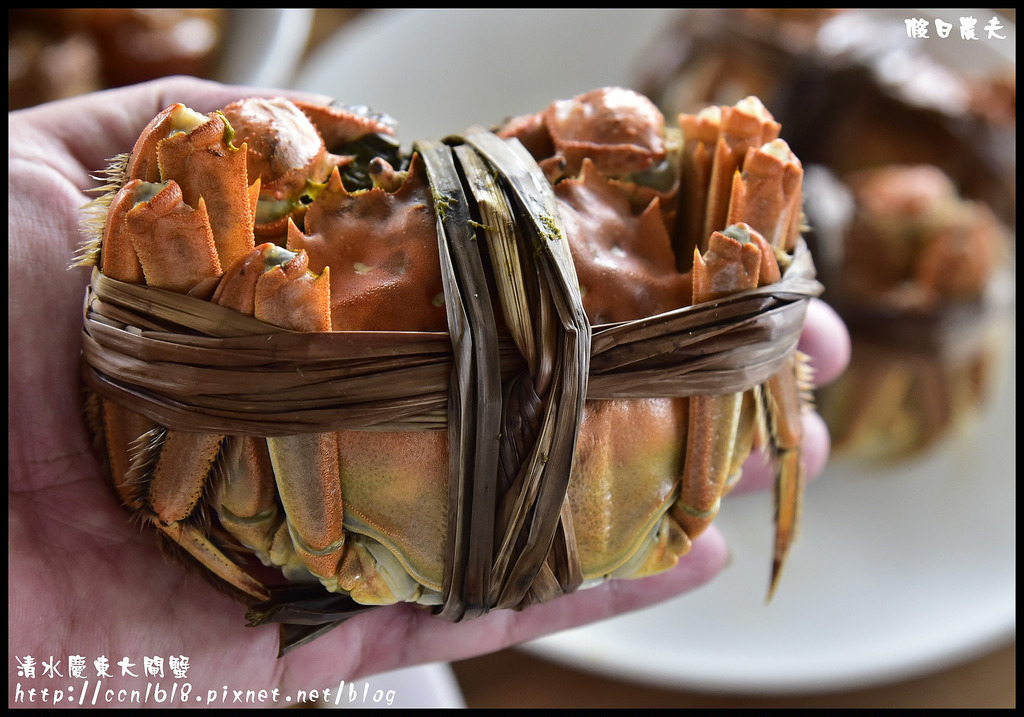 【台中美食】清水慶東大閘蟹農場．品嚐秋蟹的肥美好滋味/台灣養殖/檢驗合格/現場料理 @假日農夫愛趴趴照