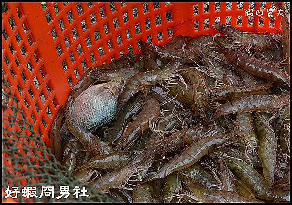 【懶人包】假日何處去．雲林旅遊景點美食攻略推薦．好吃好玩都在這裡/一日遊/二日遊/秘境（107.12 更新） @假日農夫愛趴趴照