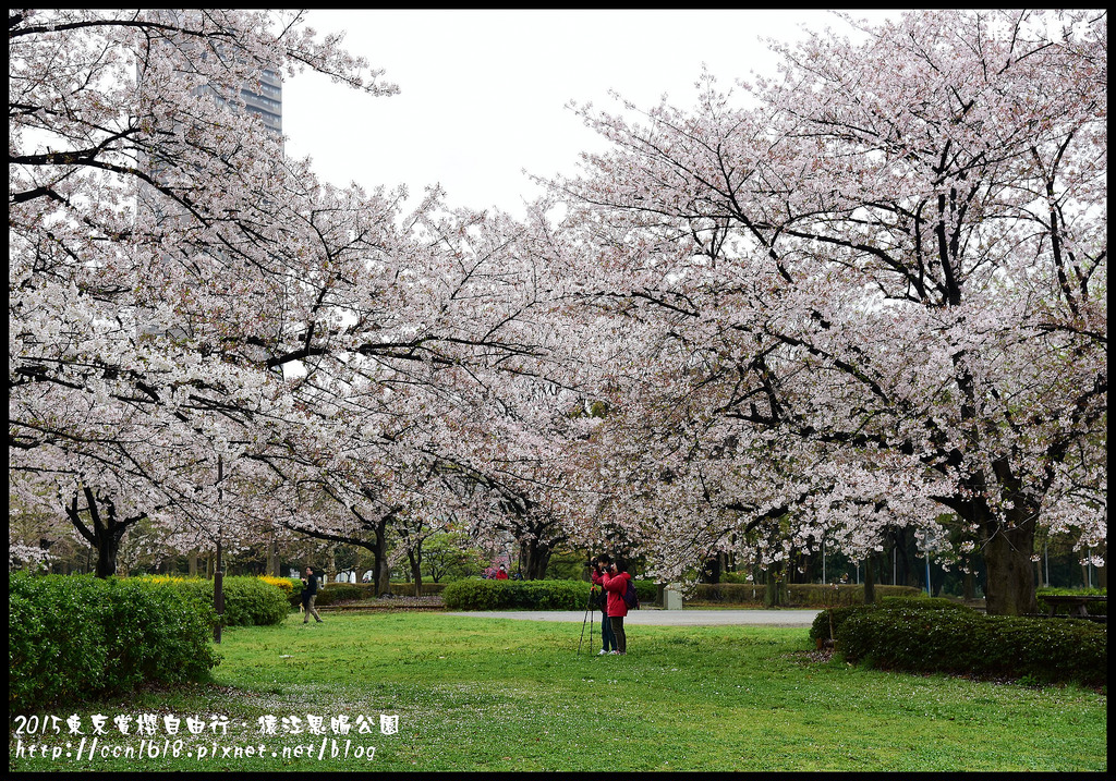 【日本旅遊】東京賞櫻親子自由行．猿江恩賜公園．隱藏版賞櫻地+新宿御苑 @假日農夫愛趴趴照