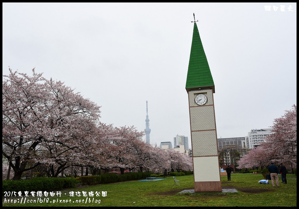 【日本旅遊】東京賞櫻親子自由行．猿江恩賜公園．隱藏版賞櫻地+新宿御苑 @假日農夫愛趴趴照