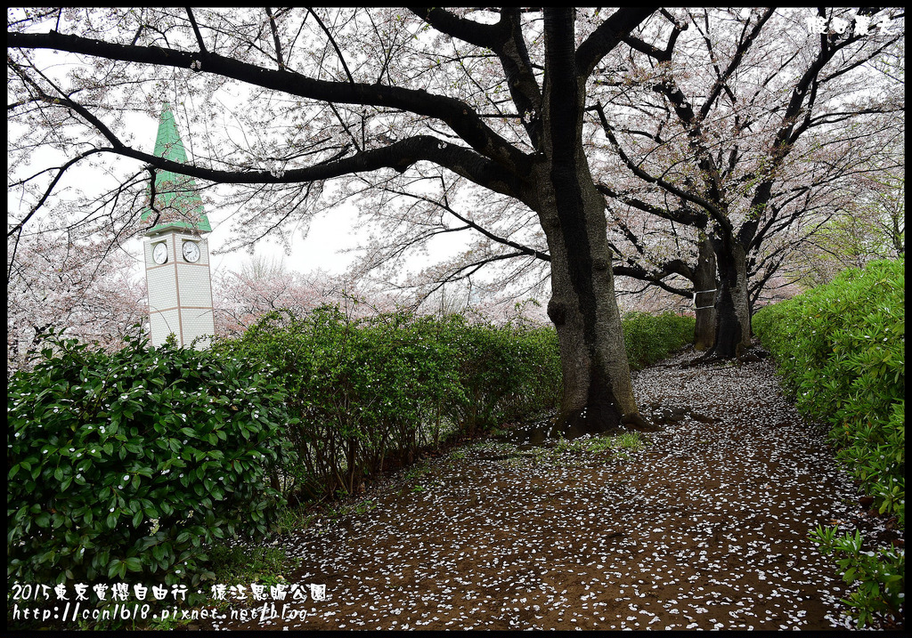 【日本旅遊】東京賞櫻親子自由行．猿江恩賜公園．隱藏版賞櫻地+新宿御苑 @假日農夫愛趴趴照