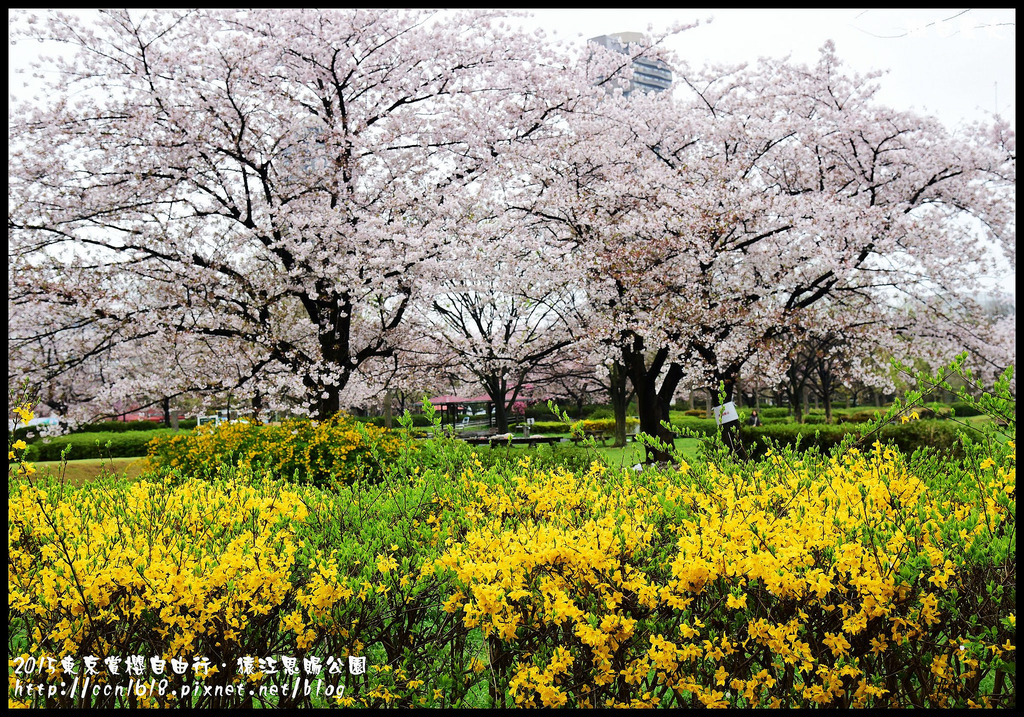 【日本旅遊】東京賞櫻親子自由行．猿江恩賜公園．隱藏版賞櫻地+新宿御苑 @假日農夫愛趴趴照