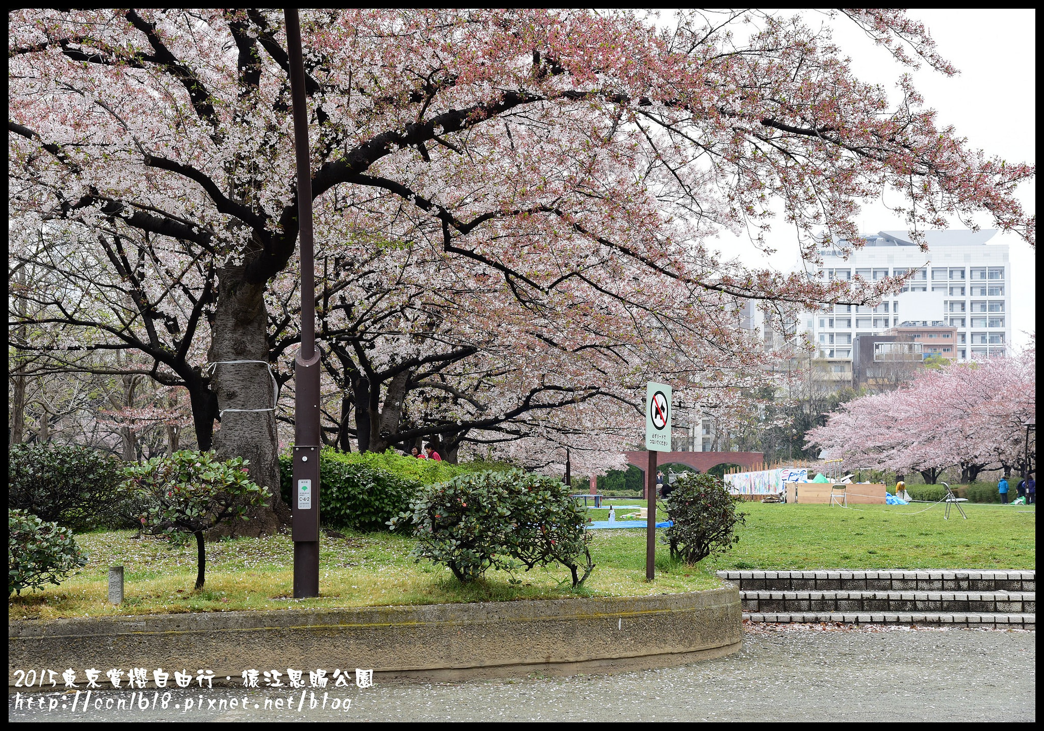 【日本旅遊】東京賞櫻親子自由行．猿江恩賜公園．隱藏版賞櫻地+新宿御苑 @假日農夫愛趴趴照