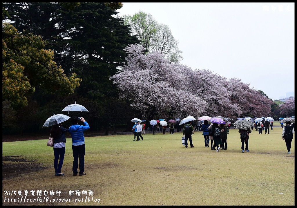 【日本旅遊】東京賞櫻親子自由行．猿江恩賜公園．隱藏版賞櫻地+新宿御苑 @假日農夫愛趴趴照