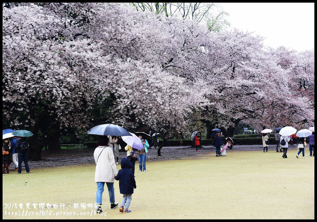 【日本旅遊】東京賞櫻親子自由行．猿江恩賜公園．隱藏版賞櫻地+新宿御苑 @假日農夫愛趴趴照