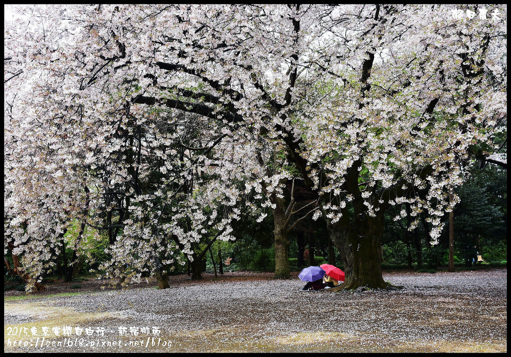 【日本旅遊】東京賞櫻親子自由行．猿江恩賜公園．隱藏版賞櫻地+新宿御苑 @假日農夫愛趴趴照