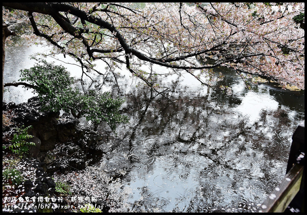 【日本旅遊】東京賞櫻親子自由行．猿江恩賜公園．隱藏版賞櫻地+新宿御苑 @假日農夫愛趴趴照