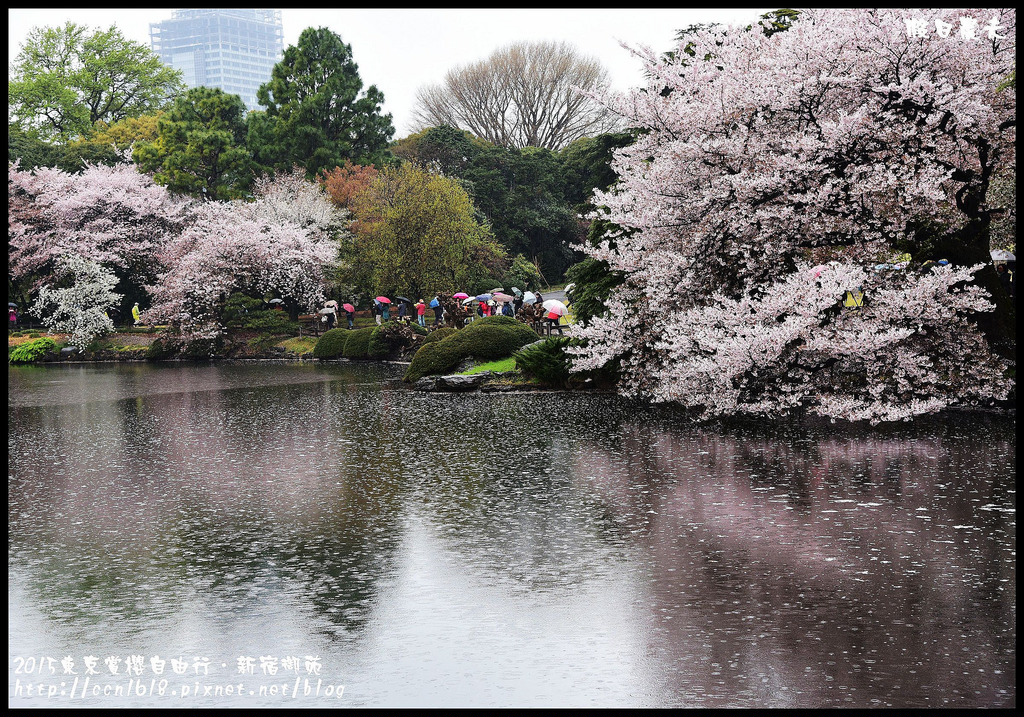 【日本旅遊】東京賞櫻親子自由行．猿江恩賜公園．隱藏版賞櫻地+新宿御苑 @假日農夫愛趴趴照