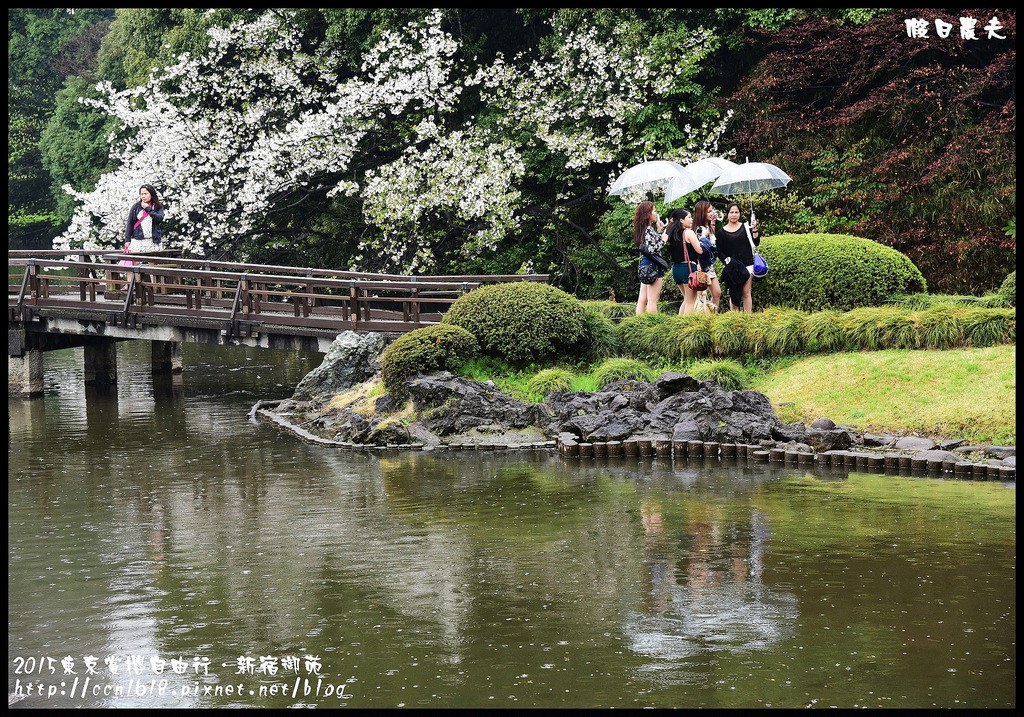 【日本旅遊】東京賞櫻親子自由行．猿江恩賜公園．隱藏版賞櫻地+新宿御苑 @假日農夫愛趴趴照