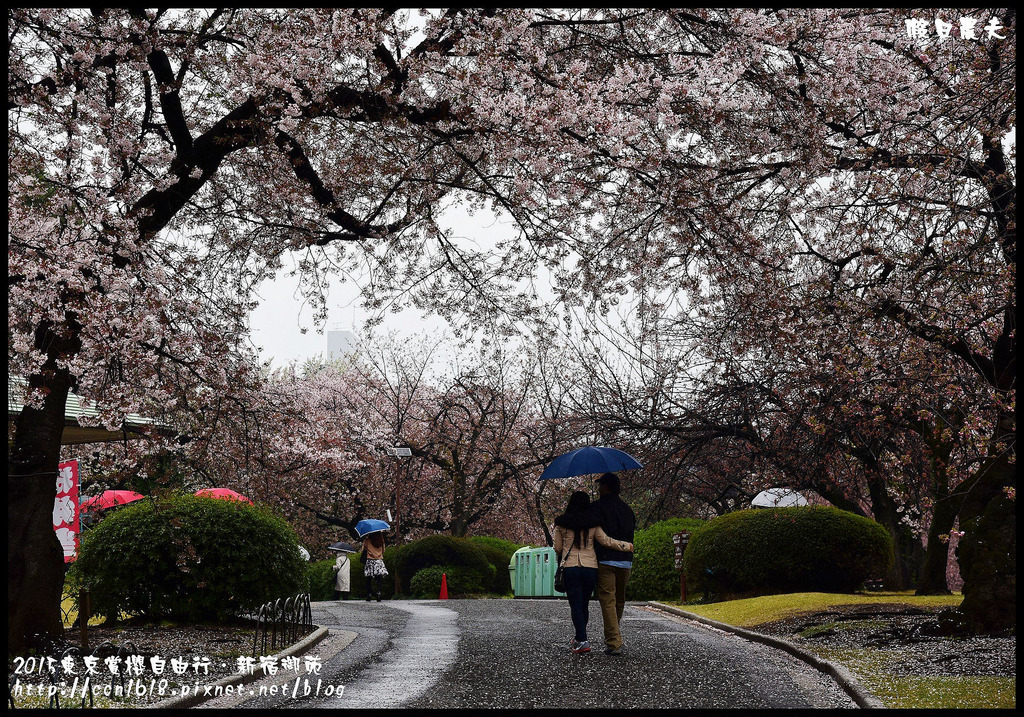 【日本旅遊】東京賞櫻親子自由行．猿江恩賜公園．隱藏版賞櫻地+新宿御苑 @假日農夫愛趴趴照