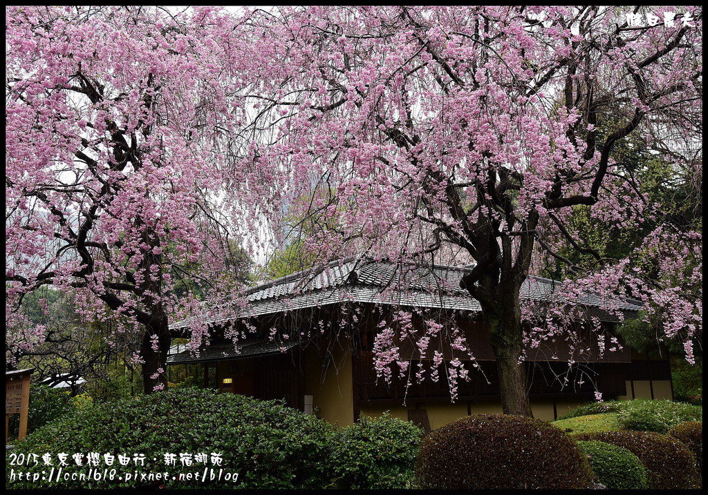 【日本旅遊】東京賞櫻親子自由行．猿江恩賜公園．隱藏版賞櫻地+新宿御苑 @假日農夫愛趴趴照