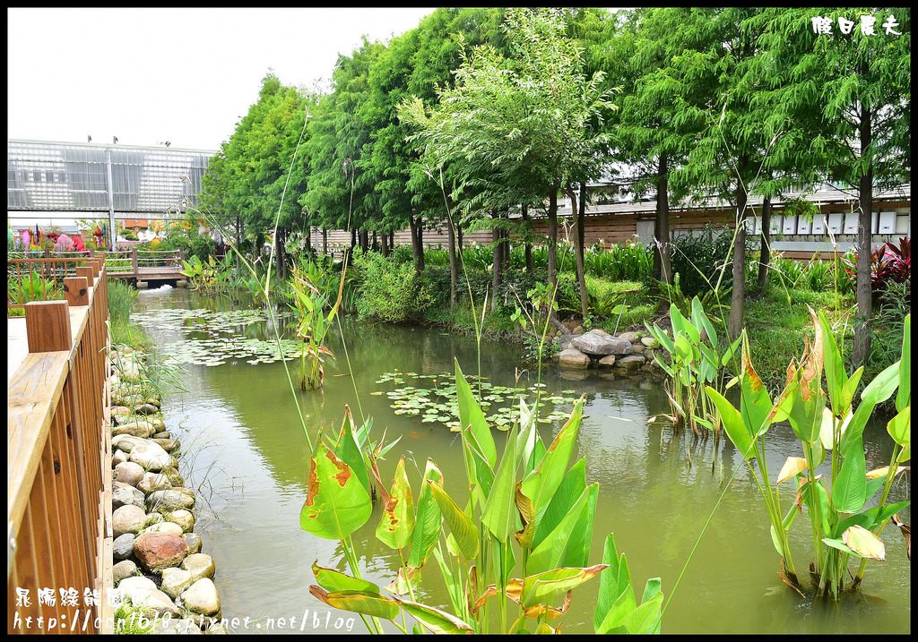 【雲林旅遊】晁陽綠能園區．蟋蟀文化館/親子遊/一日遊/太陽能/DIY/觀光工廠 @假日農夫愛趴趴照