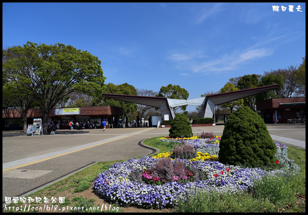 【日本旅遊】東京親子賞櫻自由行‧國營昭和紀念公園/爆美櫻花/櫻吹雪/鬱金香 @假日農夫愛趴趴照