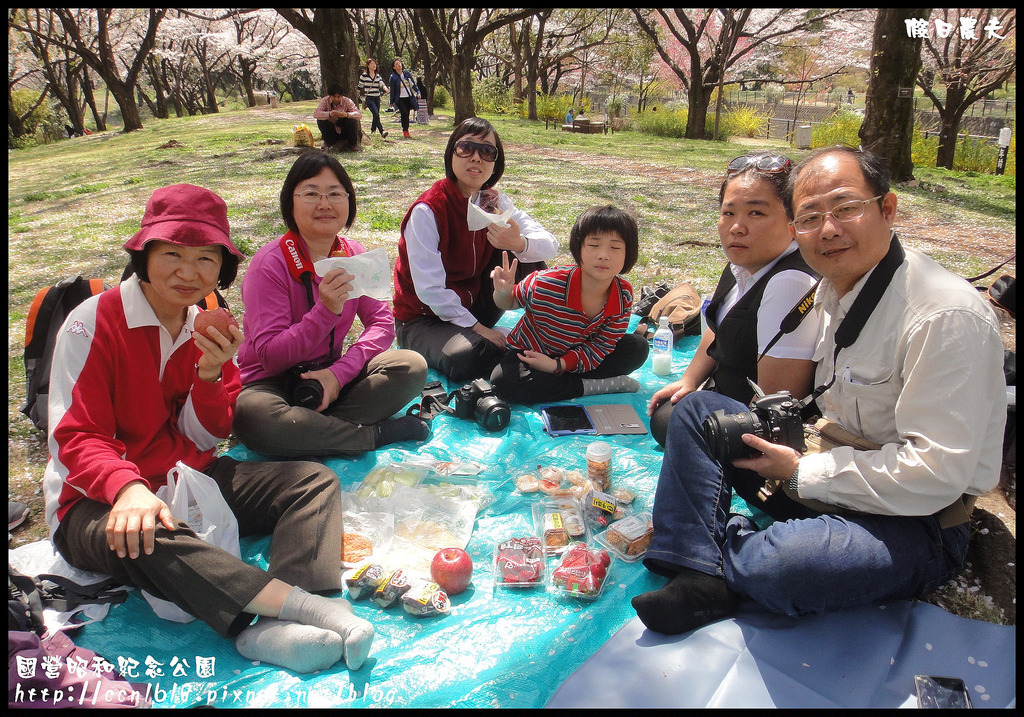 【日本旅遊】東京親子賞櫻自由行‧國營昭和紀念公園/爆美櫻花/櫻吹雪/鬱金香 @假日農夫愛趴趴照