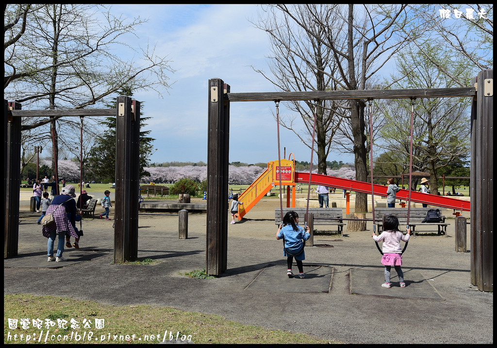 【日本旅遊】東京親子賞櫻自由行‧國營昭和紀念公園/爆美櫻花/櫻吹雪/鬱金香 @假日農夫愛趴趴照