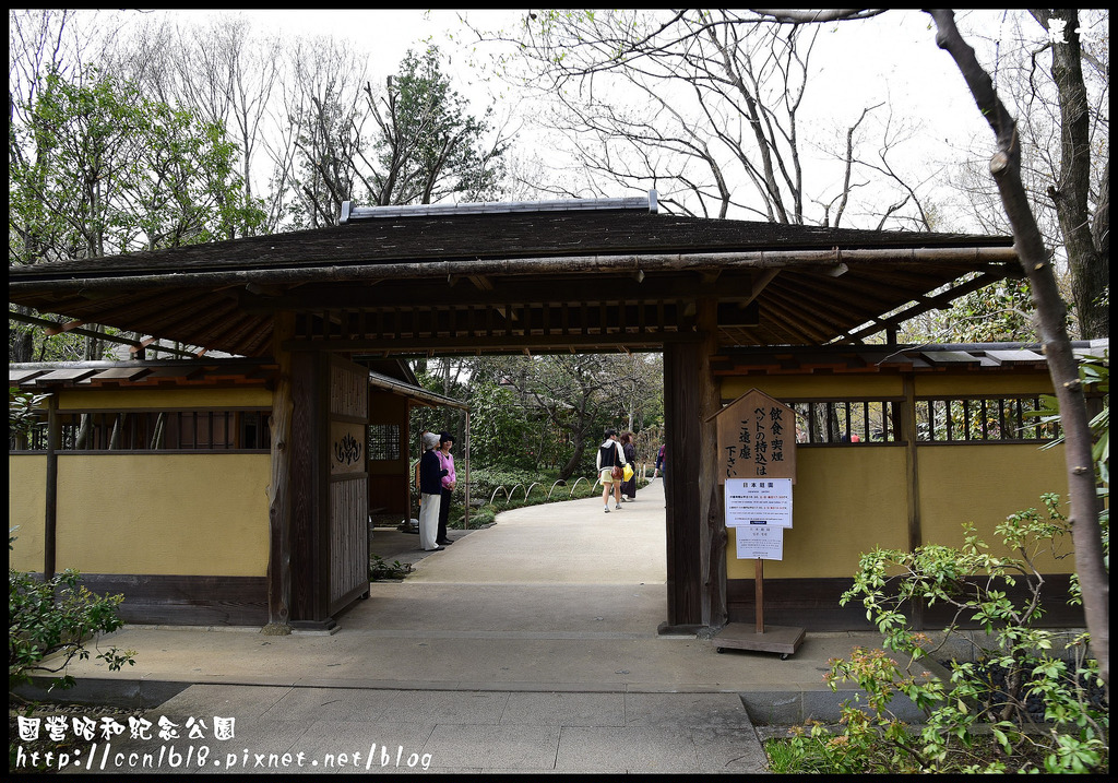 【日本旅遊】東京親子賞櫻自由行‧國營昭和紀念公園/爆美櫻花/櫻吹雪/鬱金香 @假日農夫愛趴趴照