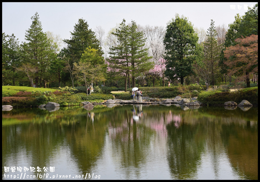 【日本旅遊】東京親子賞櫻自由行‧國營昭和紀念公園/爆美櫻花/櫻吹雪/鬱金香 @假日農夫愛趴趴照