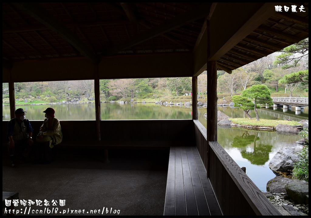 【日本旅遊】東京親子賞櫻自由行‧國營昭和紀念公園/爆美櫻花/櫻吹雪/鬱金香 @假日農夫愛趴趴照