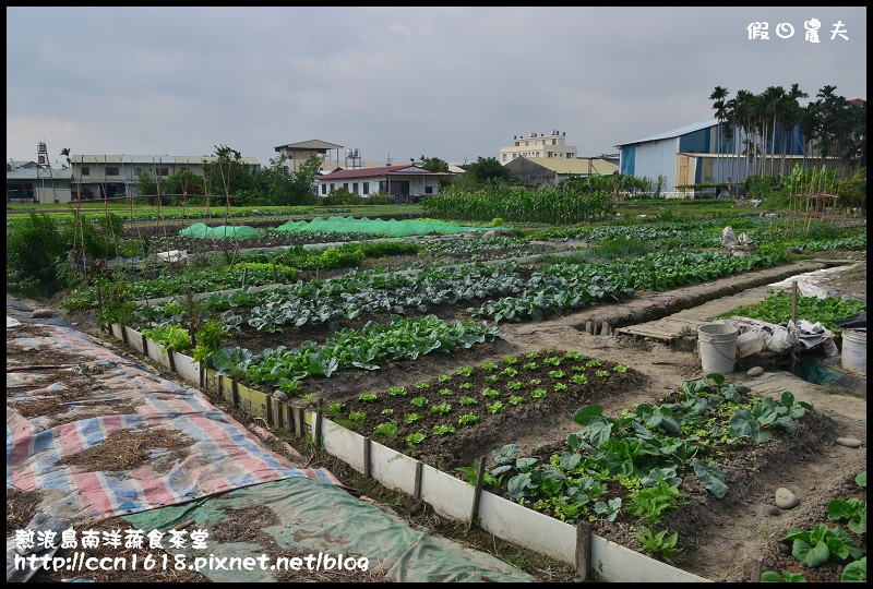 【台中美食】熱浪島‧南洋蔬食茶堂台中旗艦店/創意南洋風味素食/擴大營業/親子餐廳/有得吃又有得玩 @假日農夫愛趴趴照