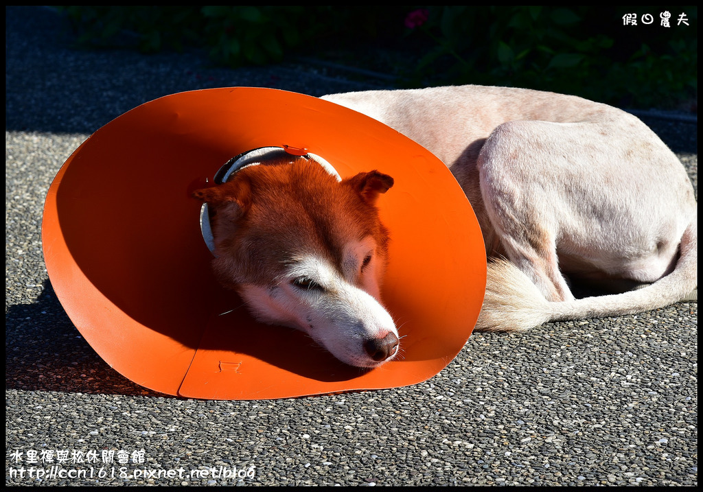 【南投住宿】禪與松休閒會館．水里蛇窯旁的私房避暑山莊/還有好吃的無菜單料理/一日遊/二日遊/親子遊/民宿推薦 @假日農夫愛趴趴照