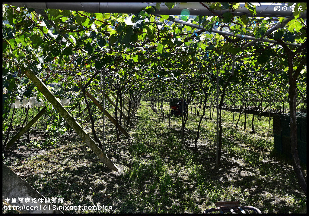 【南投住宿】禪與松休閒會館．水里蛇窯旁的私房避暑山莊/還有好吃的無菜單料理/一日遊/二日遊/親子遊/民宿推薦 @假日農夫愛趴趴照