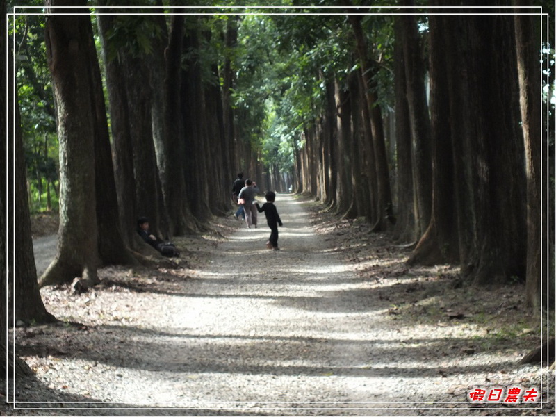 【懶人包】假日何處去．高雄旅遊景點美食住宿攻略推薦/好吃好玩都在這裡（107.12 更新） @假日農夫愛趴趴照