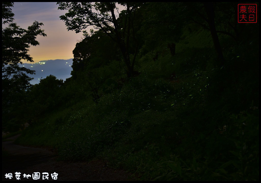 【苗栗民宿】大湖楓葉地圖民宿．馬拉邦山春賞螢秋賞楓冬賞雲海還有高品質餐飲享受/螢火蟲 @假日農夫愛趴趴照